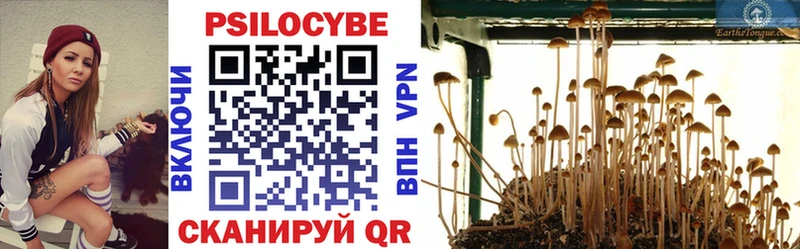Галлюциногенные грибы Cubensis  как найти закладки  кракен   Нефтекумск 