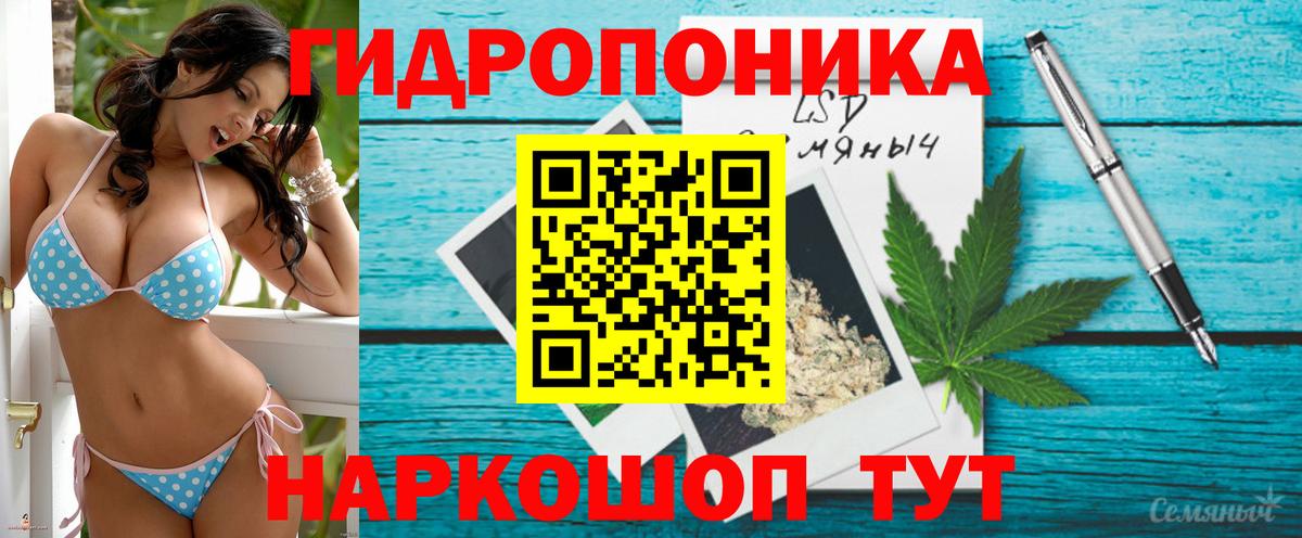 Шишки марихуана сатива Нефтекумск